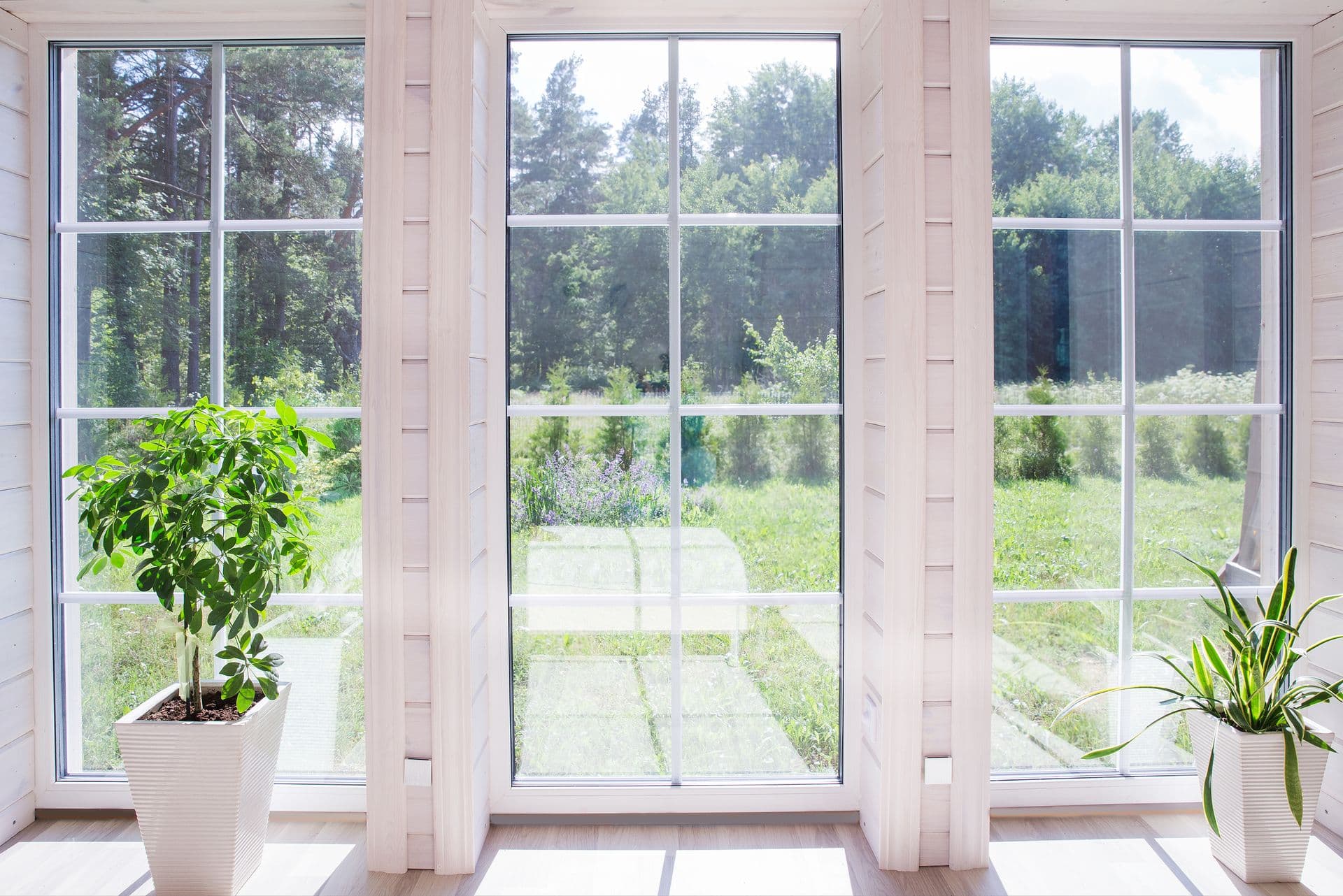 Bright interior with large windows showing a lush garden. Two potted plants, one leafy and one with long leaves, sit on the sunlit floor. Calm, sunny ambiance.